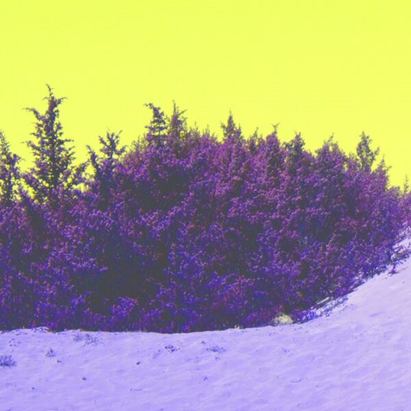 Ammophila vol.3: There was land here before