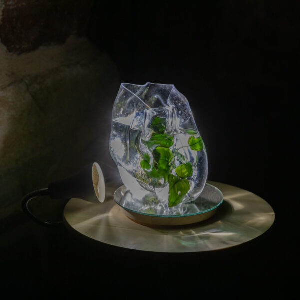 Aquatic Echoes