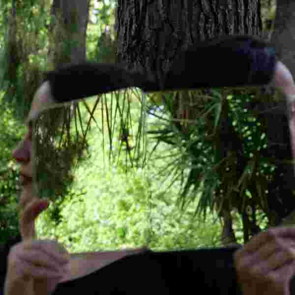 Palm Tree or The hand that Dreams