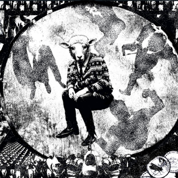 The black sheep